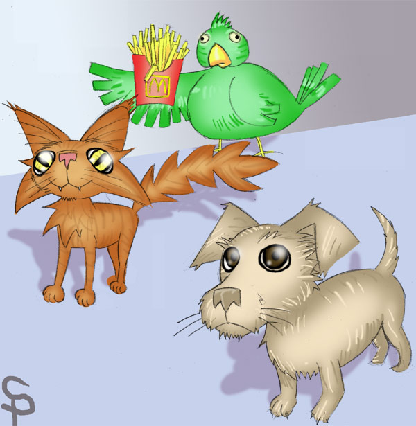 FATBIRD and the Fry Suspected Stealers